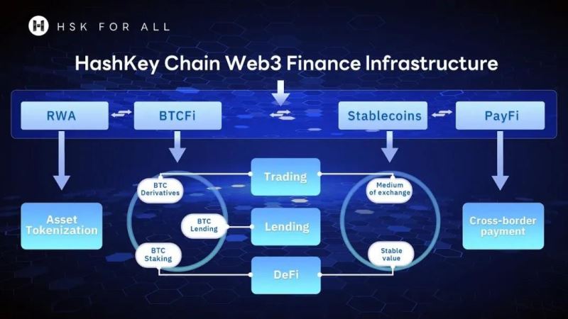 Hashkey與三星投資的Kite AI測試網，如何成功擼取空投？
