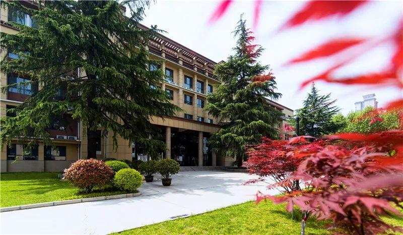 陜西小學生足球賽直播，激情與夢想的較量