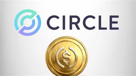 Circle IPO及Coinbase交易的挑戰(zhàn)與未來展望
