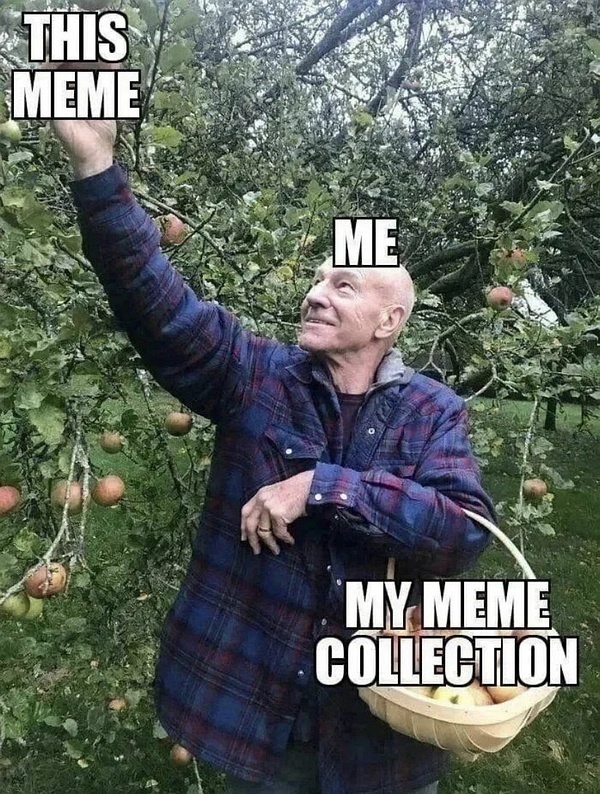 Meme，超越產品定義，市場并非后花園的博弈