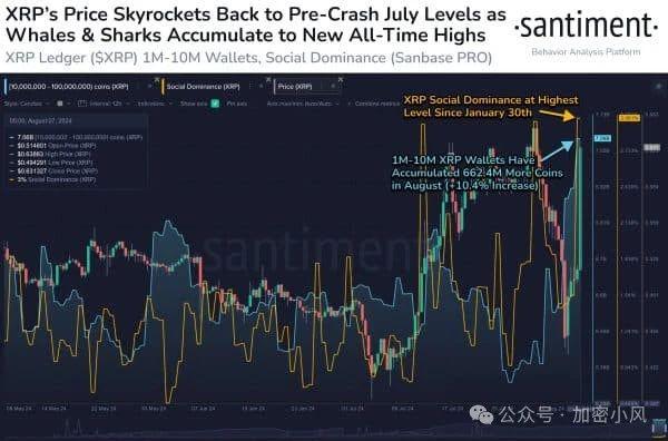 為什么今天XRP價格上漲？——深度探究XRP的升值原因