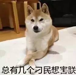 死亡交叉形成，燒傷率下降，柴犬面臨45%的崩潰風(fēng)險