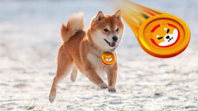 鯨魚傾倒180億枚硬幣，柴犬價(jià)格暴跌