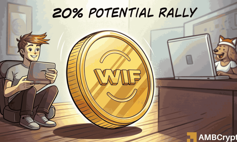 WIF價格面臨風險，因為Dogwifhat外匯流入增加，聰明的錢賣出