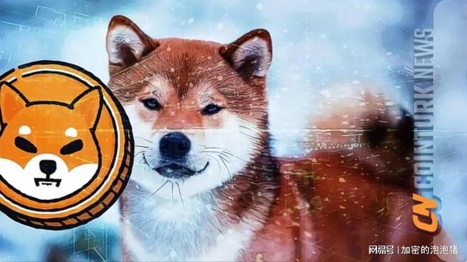 鯨魚出售，燃燒速度放緩，柴犬價格暴跌