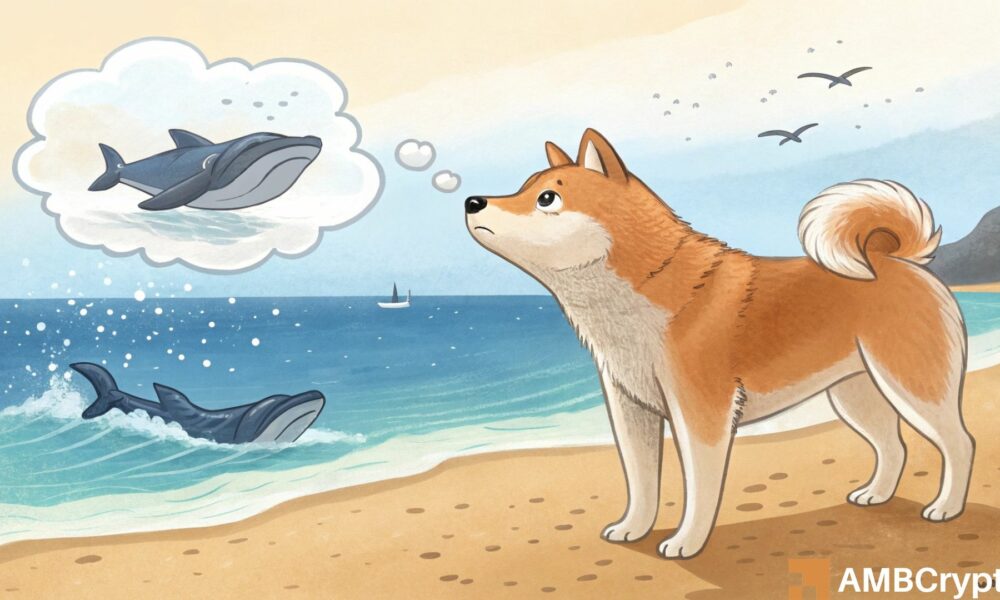 鯨魚(yú)投降，柴犬面臨更深潛風(fēng)險(xiǎn)