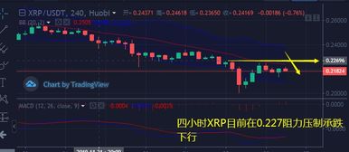 加密貨幣市場在比特幣引領(lǐng)的反彈中反彈，Myria代幣上漲